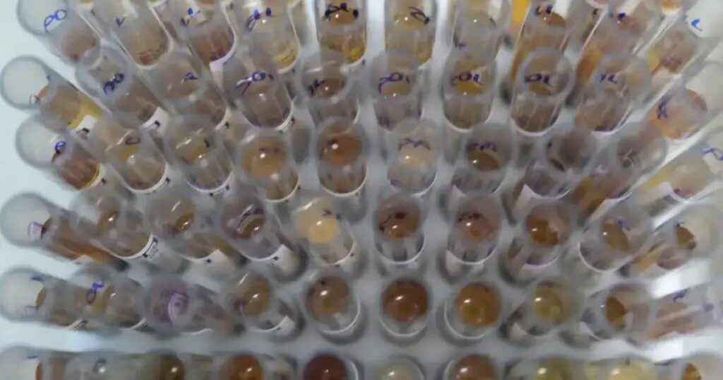 Brasil registra queda de 26% nos casos de malária em 2025