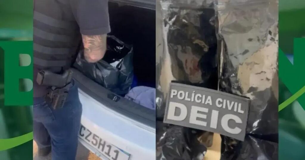 Polícia Civil apreende 6 quilos de maconha na Micareta de Feira