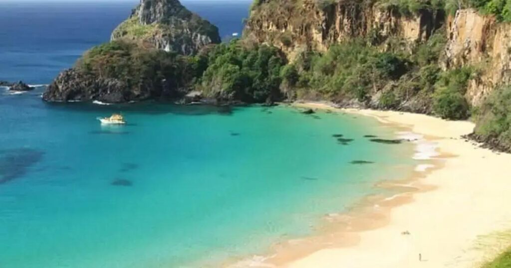 Turista de São Paulo é mordida por tubarão enquanto mergulhava em Noronha