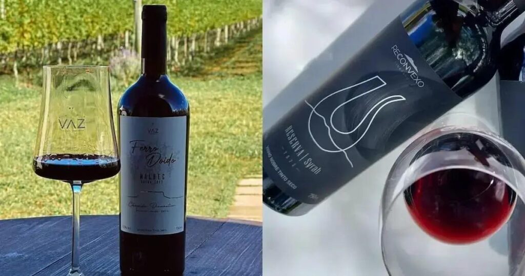 Vinhos de Morro do Chapéu são medalhistas em premiação nacional de 2025