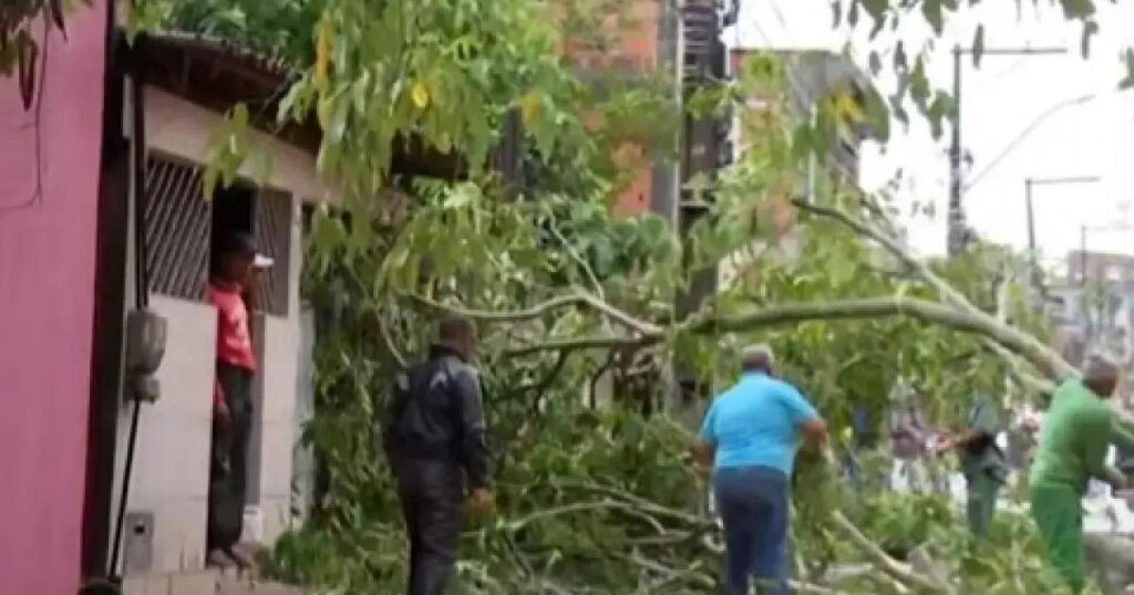 Árvore cai e isola moradores em avenida de Simões Filho após tempestade