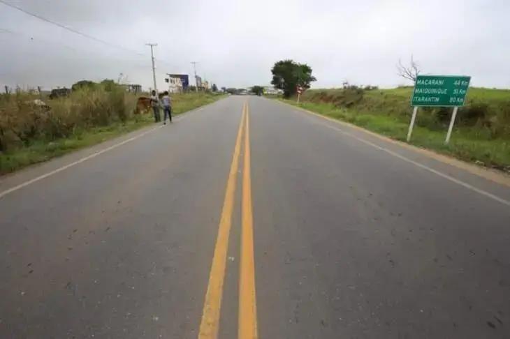 Aumento de atropelamentos de animais na BA-130 gera preocupação ambiental