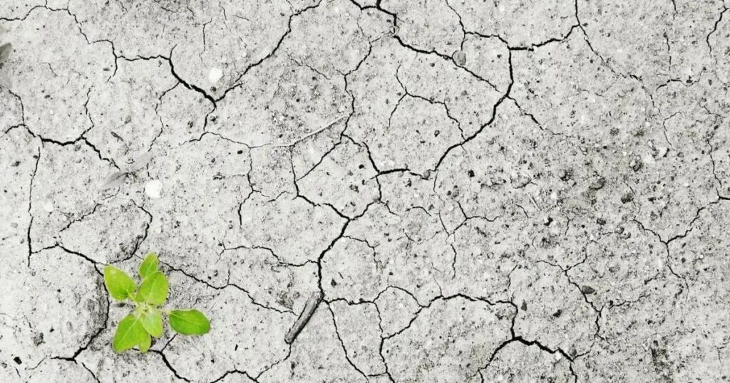 Campanha Justiça Climática é Justiça Social mobiliza Defensoria Pública na Bahia