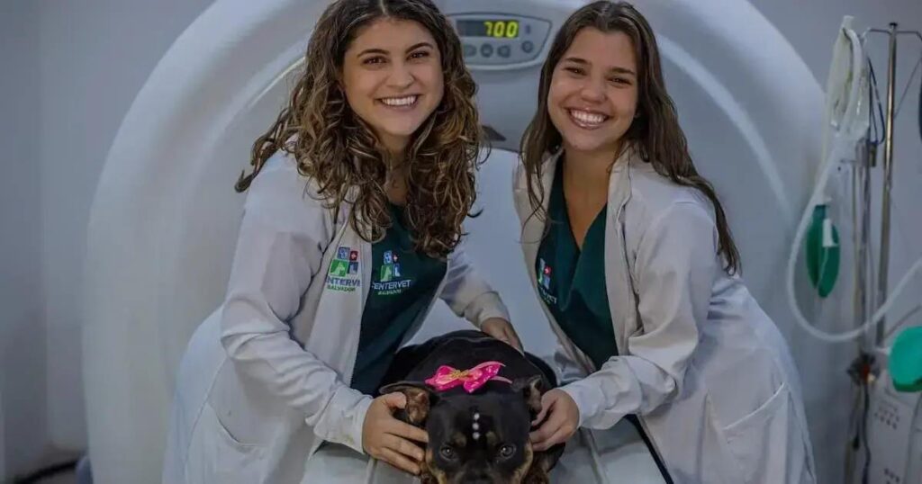 Como a tomografia veterinária pode salvar a vida do seu pet