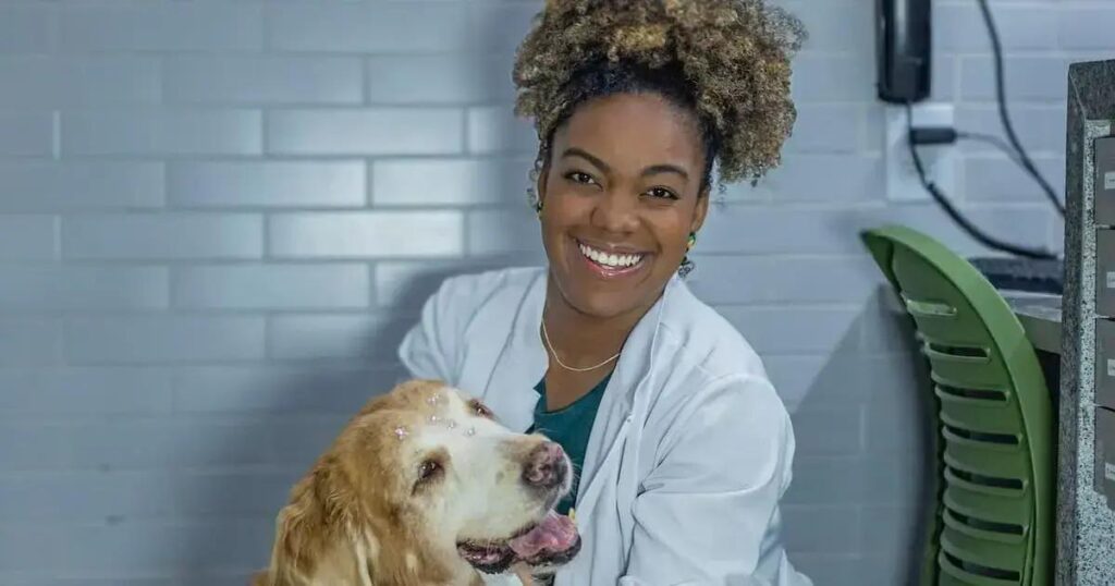 Como identificar sinais silenciosos de dor no seu pet: 6 dicas importantes