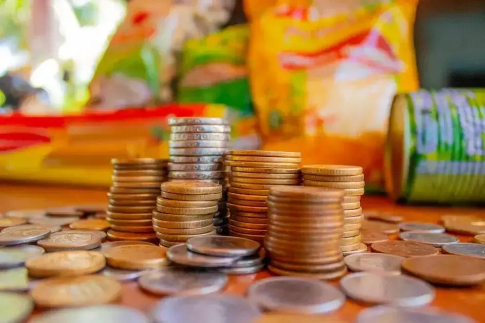 Como solicitar o Auxílio Cesta Básica: Regras e Documentos Necessários