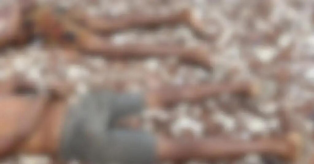 Corpos de dois homens encontrados com marcas de execução em Dias d'Ávila