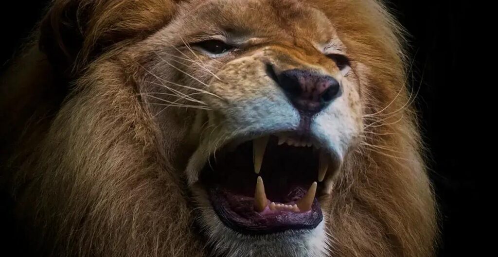 Desmistificando o IRPF 2025: 8 Mitos que Você Precisa Conhecer