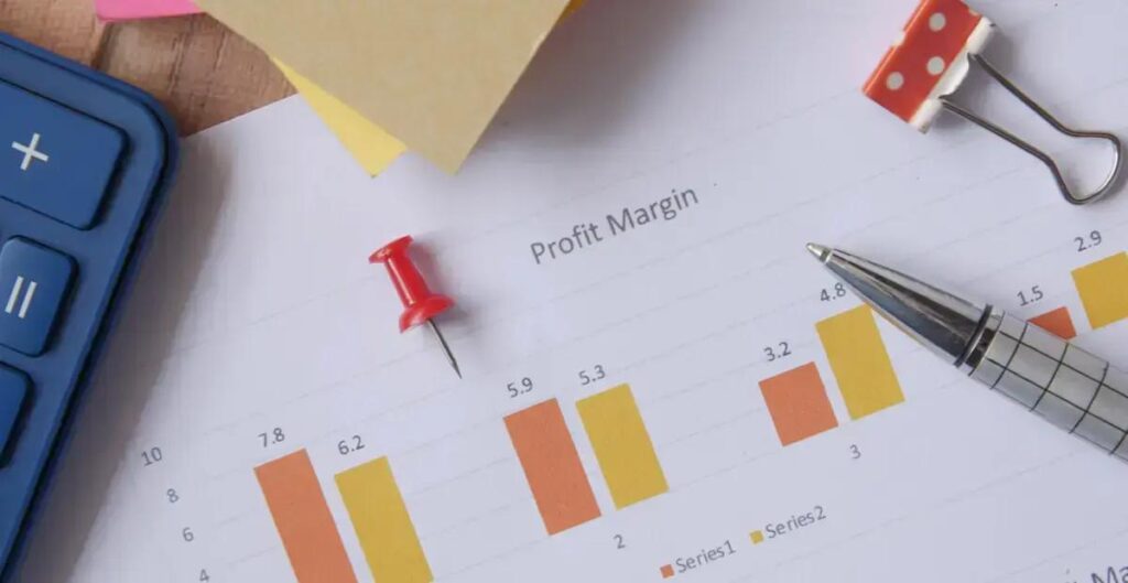 Diferença entre rentabilidade e lucratividade: entenda de uma vez
