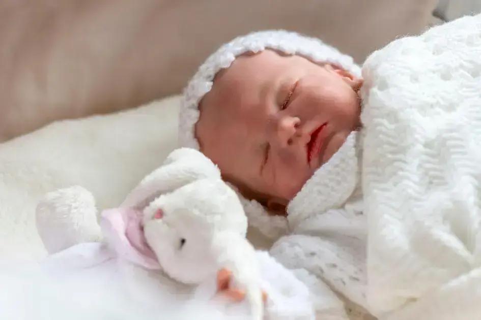 Entenda como um bebê reborn pode impactar sua saúde emocional