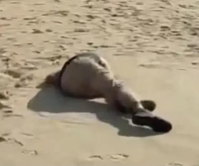 Homem é encontrado morto a tiros na Praia de Taperapuan em Porto Seguro