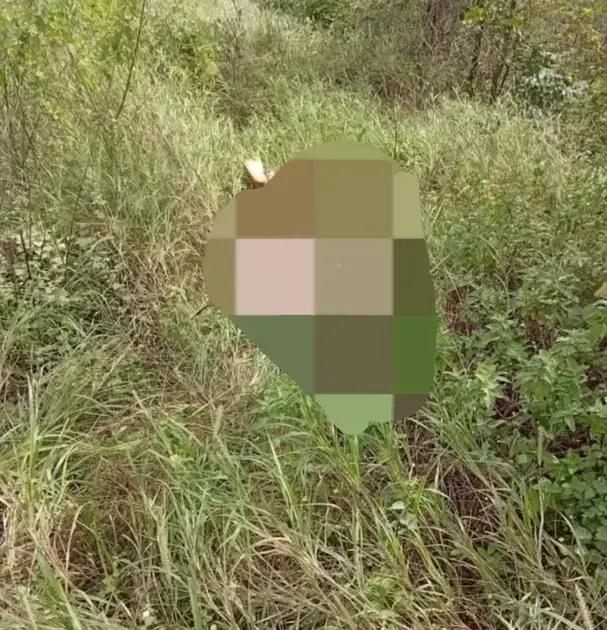 Homem encontrado morto amarrado em matagal na zona rural de Anagé