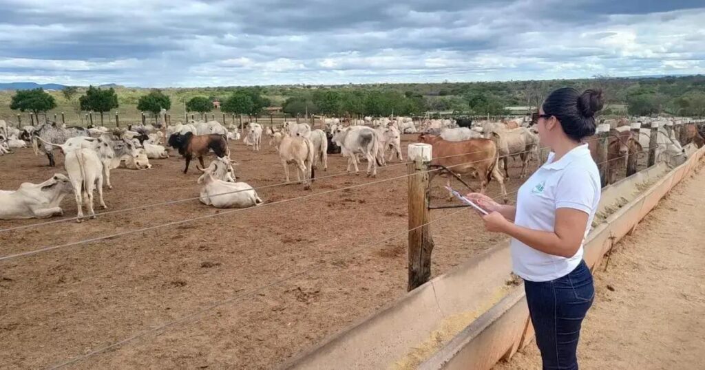 Jerônimo Rodrigues propõe reforma para reestruturar carreiras na ADAB