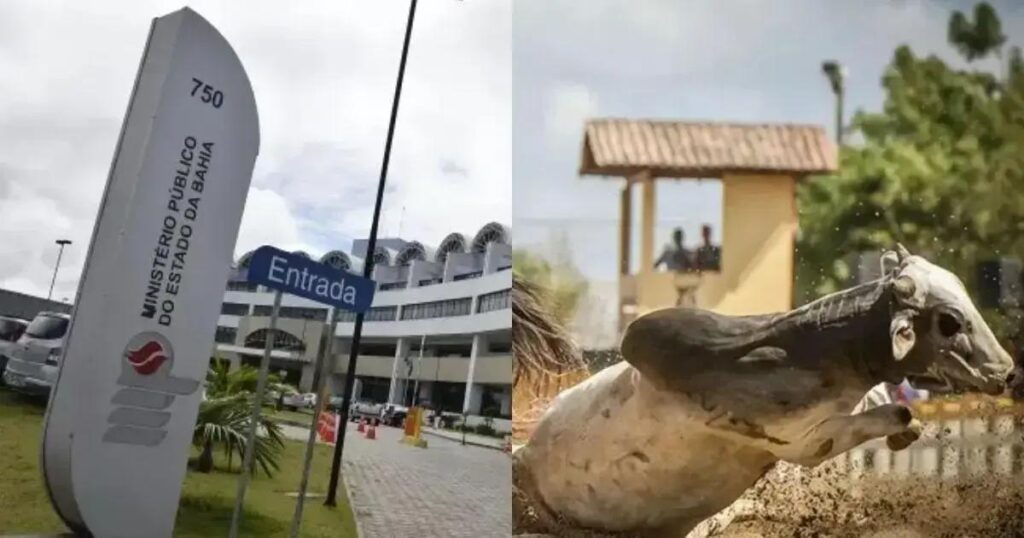 Ministério Público intensifica fiscalização das vaquejadas na Bahia