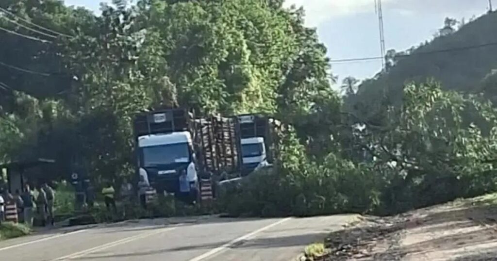 Moradores de Mata de São João bloqueiam BA-093 contra alagamentos