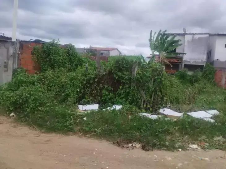 Moradores do bairro Gusmão se preocupam com terreno tomado por mato