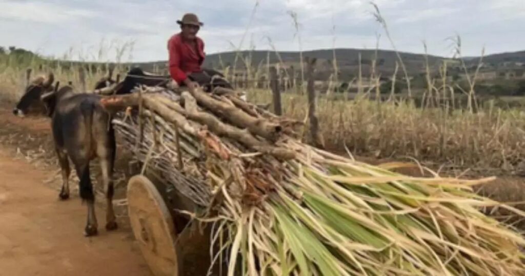 MPF requer proteção aos direitos da comunidade tradicional afetada por mineração na Bahia