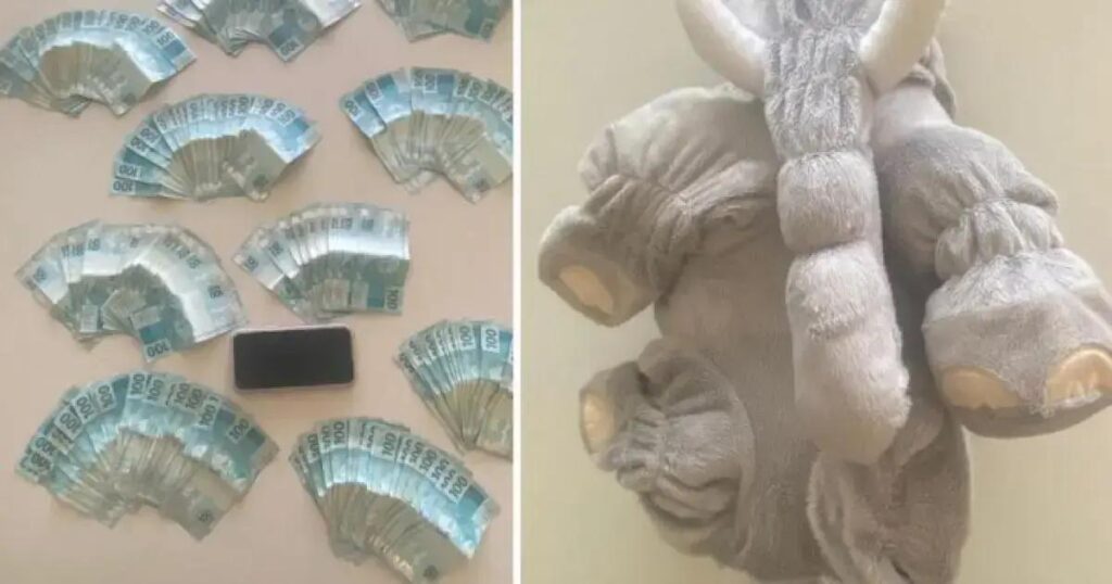 Mulher é presa em Jaguaquara com R$ 20 mil escondidos em bicho de pelúcia