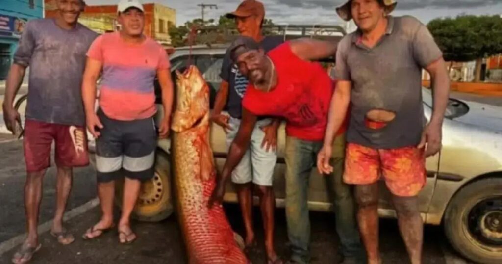 Pescadores capturam impressionante pirarucu de 92 kg no Rio São Francisco