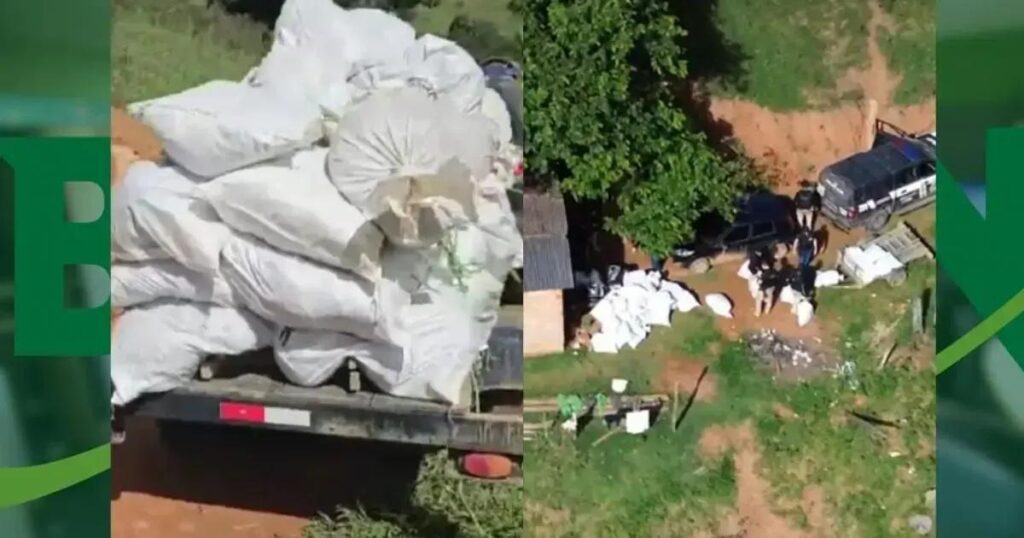 Polícia Civil apreende mais de meia tonelada de maconha em Itamaraju