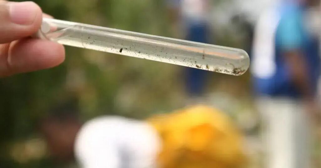 Redução significativa de casos de dengue e Chikungunya na Bahia em 2025