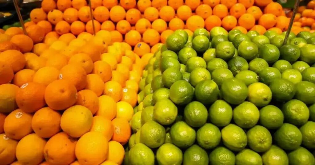 Rio Real: Proposta para Capital Estadual da Laranja é apresentada na AL-BA