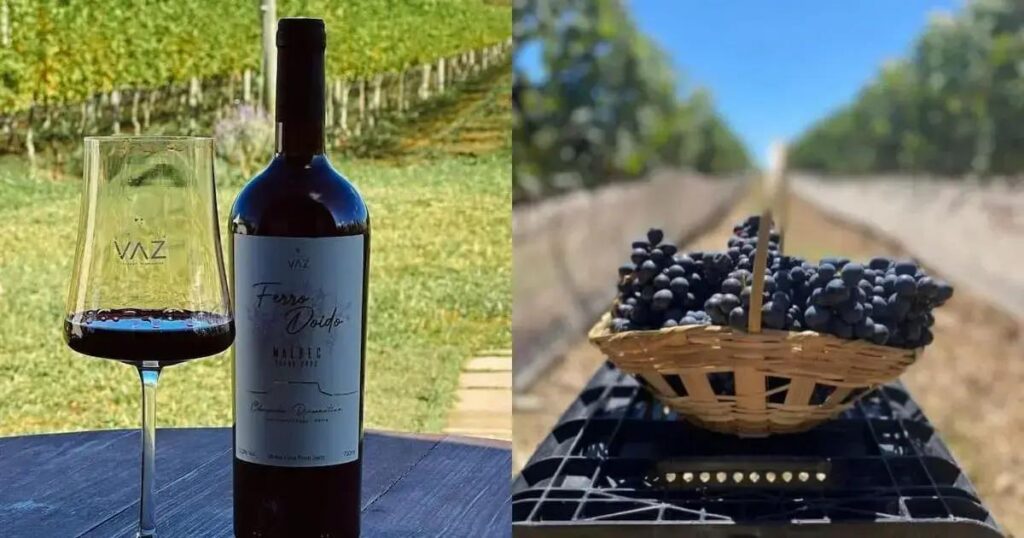 Rota do Vinho da Chapada Diamantina brilha em eventos de turismo