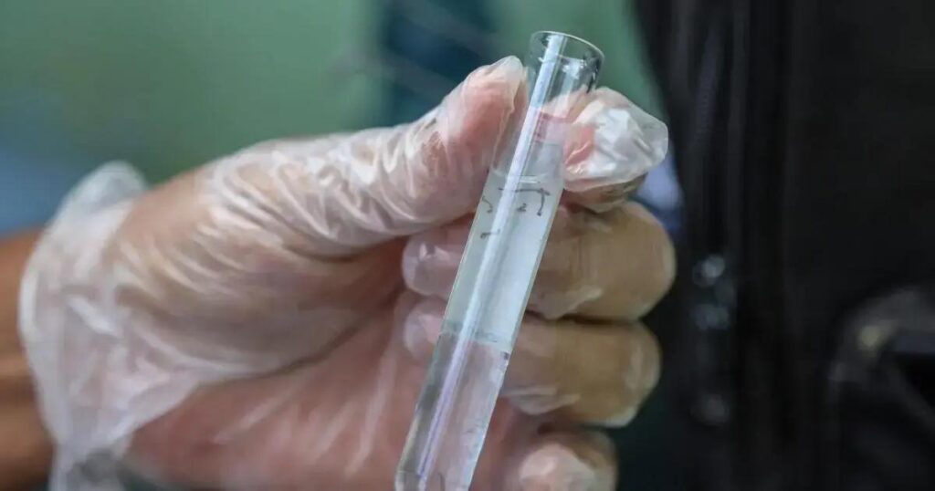 Salvador apresenta queda de 26% na infestação do Aedes aegypti em 2025