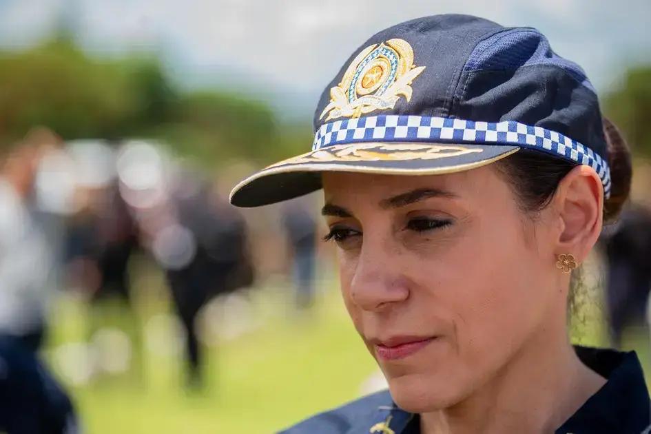 Segurança e ordem na manifestação bolsonarista em Brasília