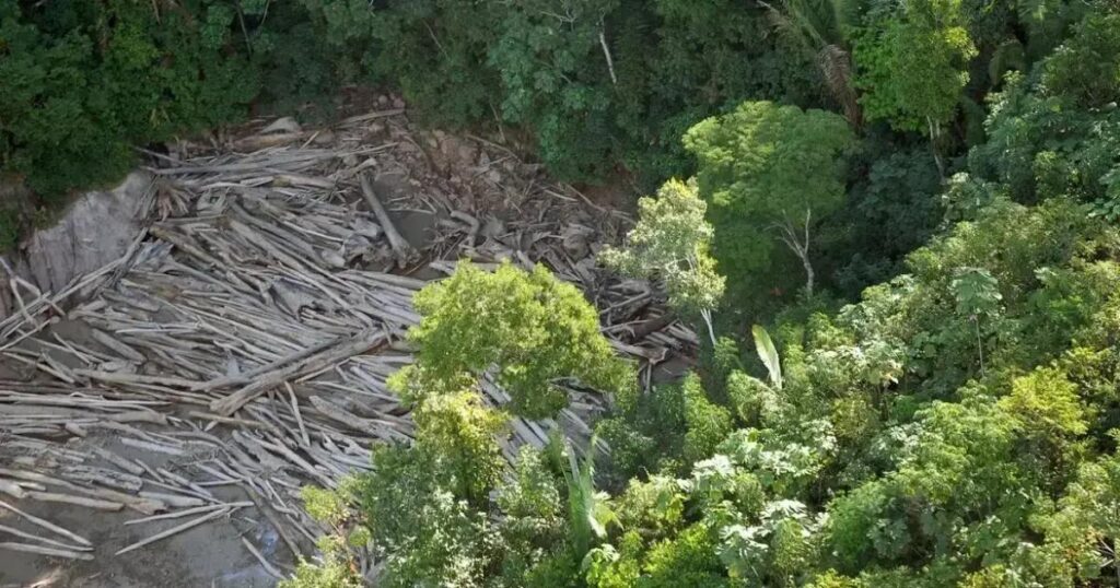 Bahia é o 4º estado com mais crimes ambientais no Brasil