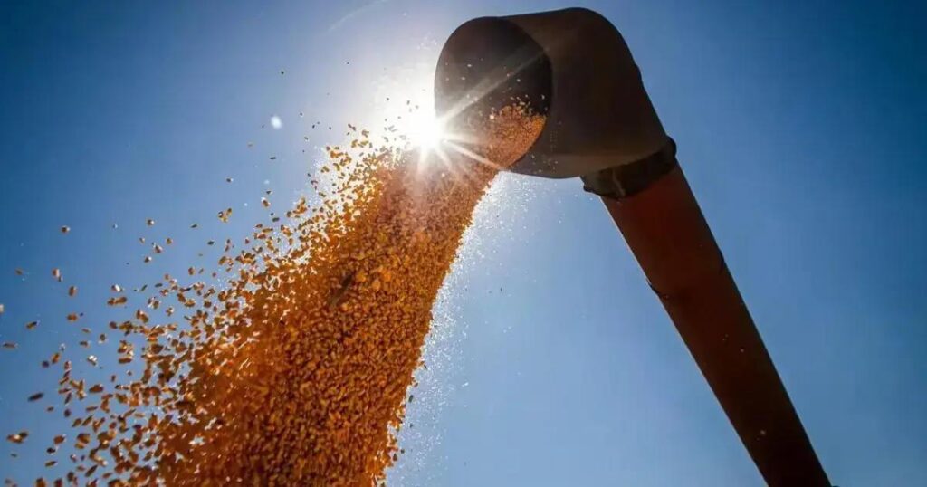 Brasil pode alcançar recorde de 336 milhões de toneladas de grãos na safra 2024/2025