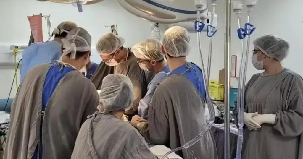 Brasil registra mais de 30 mil transplantes em 2024, um recorde histórico