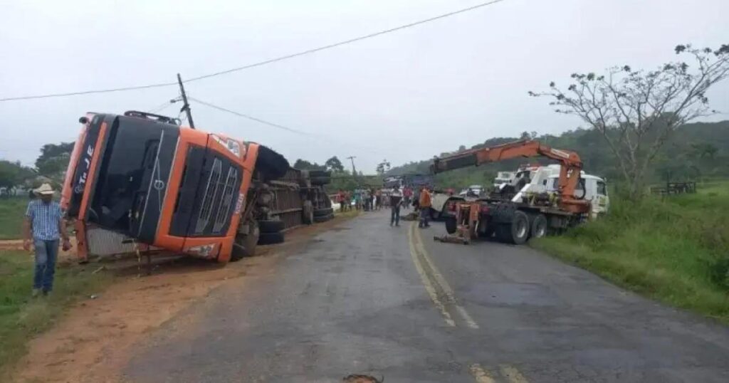 Caminhão boiadeiro tomba com 70 bovinos e motorista fica ferido