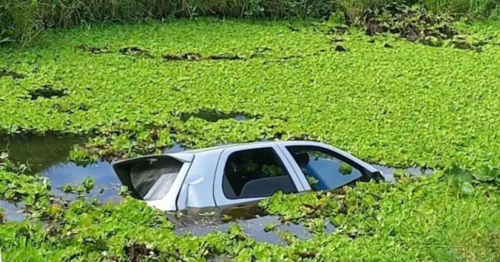 Carro com três ocupantes cai em lagoa às margens da BA-647