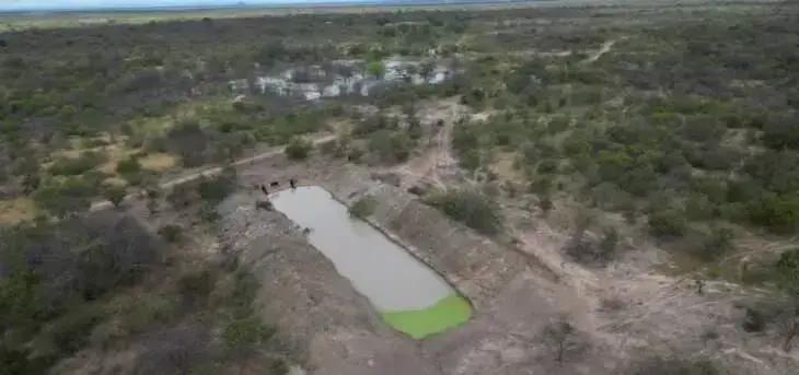 Desmatamento na Bahia e a Ameaça da Desertificação: Entenda o Problema