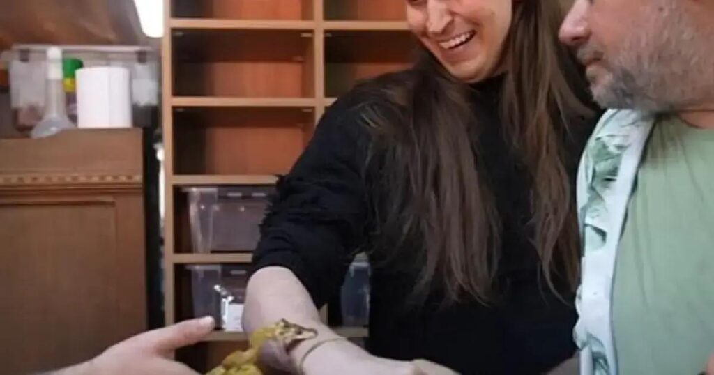 Felca viraliza ao ser picado por cobra em vídeo curioso com biólogo