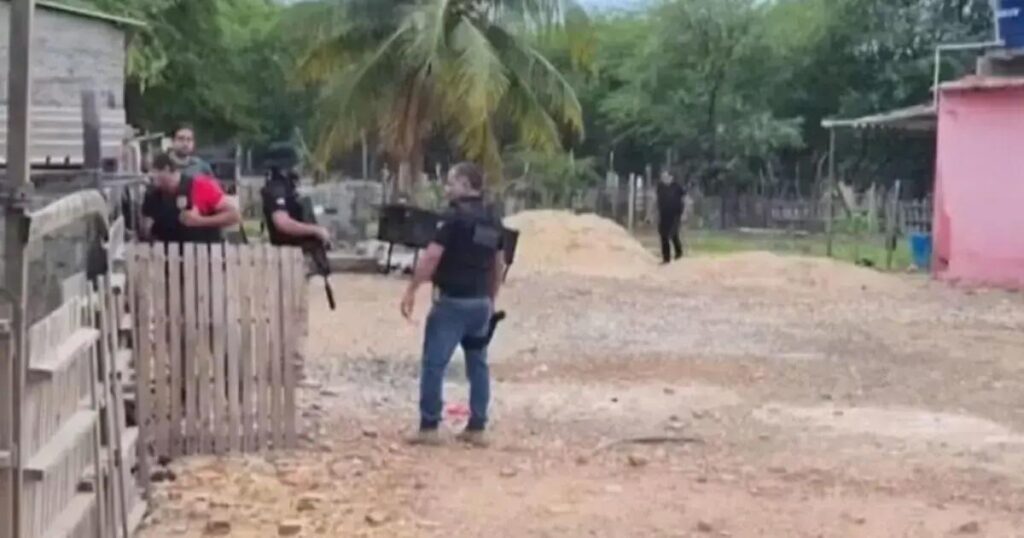 Homem é preso em Juazeiro por tráfico internacional de animais silvestres