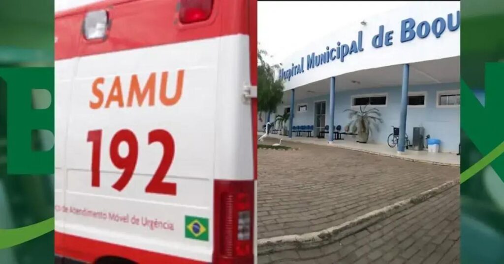 Mulher gravemente ferida após ataque de cães em Boquira, Bahia