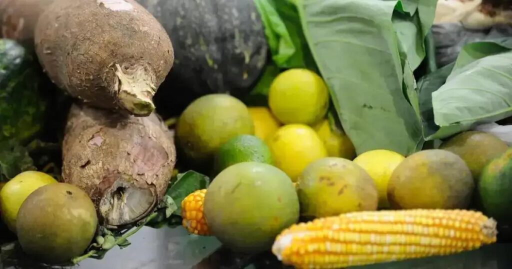 Queda nos Preços da Cesta Básica em 15 Cidades do Brasil: Um Alívio