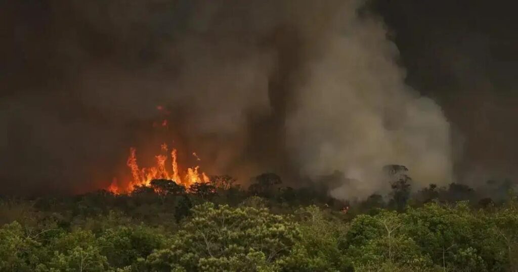 Queimadas implicam aumento de 92% no desmatamento da Amazônia em maio