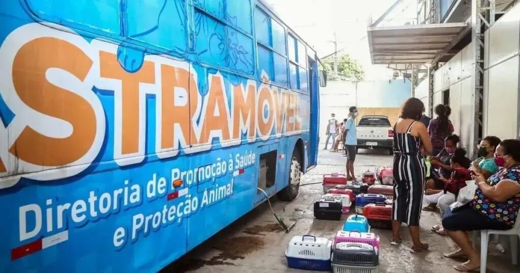 SECIS esclarece falha no agendamento de castração de animais