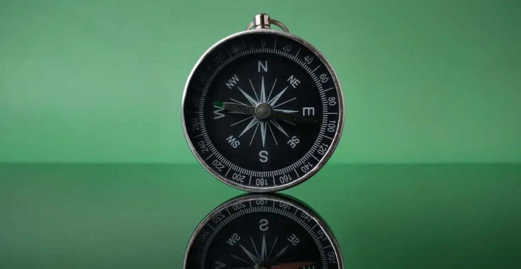 Transformando relatórios financeiros em decisões estratégicas para empresas