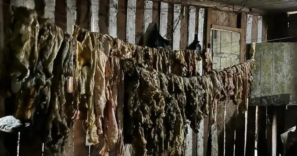 Adab realiza apreensão de carne clandestina e prende responsável no Sul da Bahia