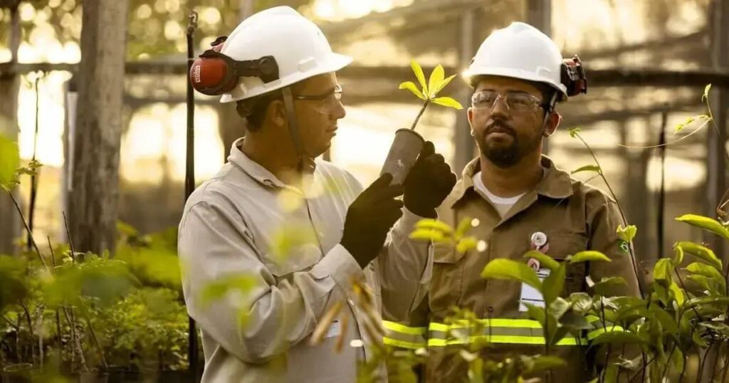 Appian e Atlantic Nickel: Iniciativa de reflorestamento na Mata Atlântica