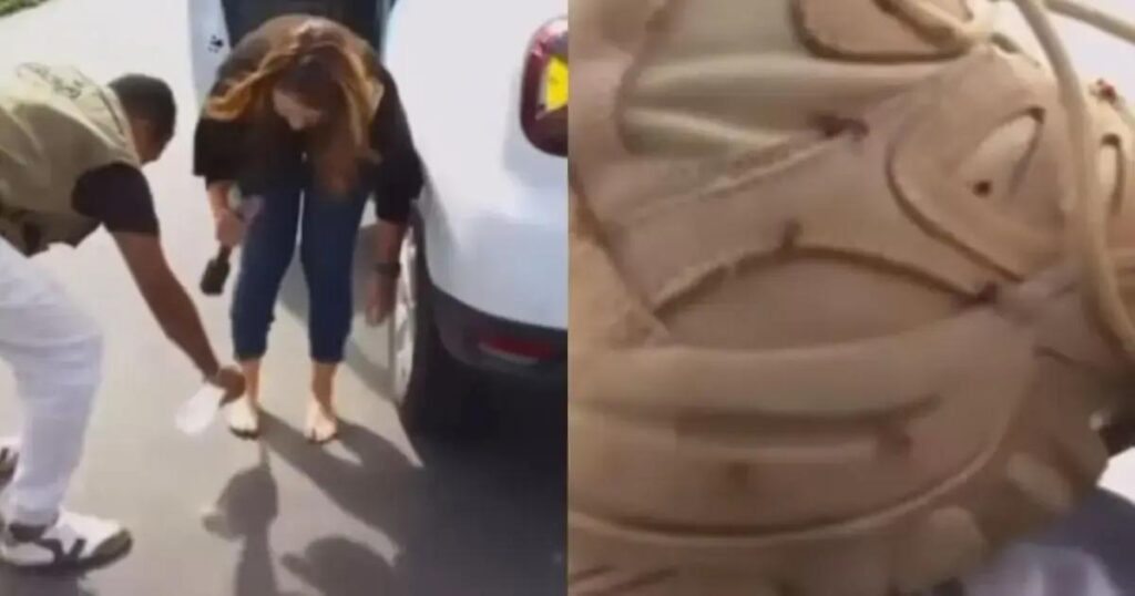 Dani Mazzei interrompe programa ao vivo após ataque de formigas