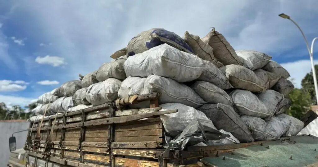 PM apreende 4 toneladas de carvão vegetal irregular na Bahia