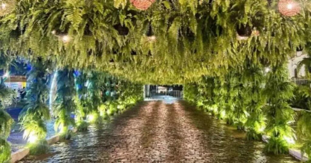 Prefeito revela furto de 500 samambaias durante festival em São Gonçalo