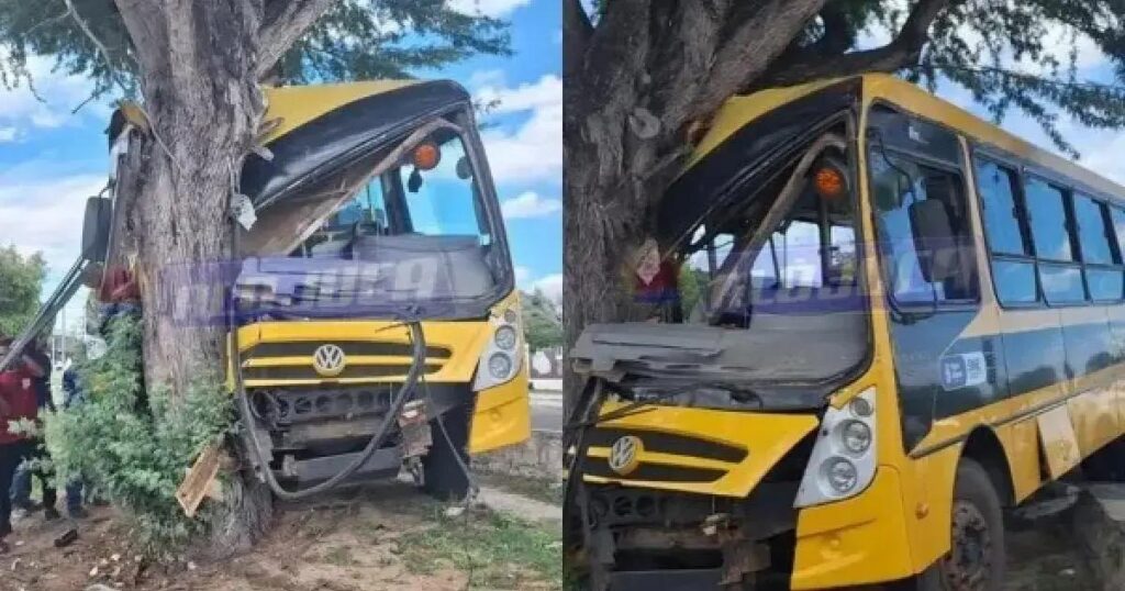 Acidente com ônibus escolar em Paulo Afonso deixa 10 feridos