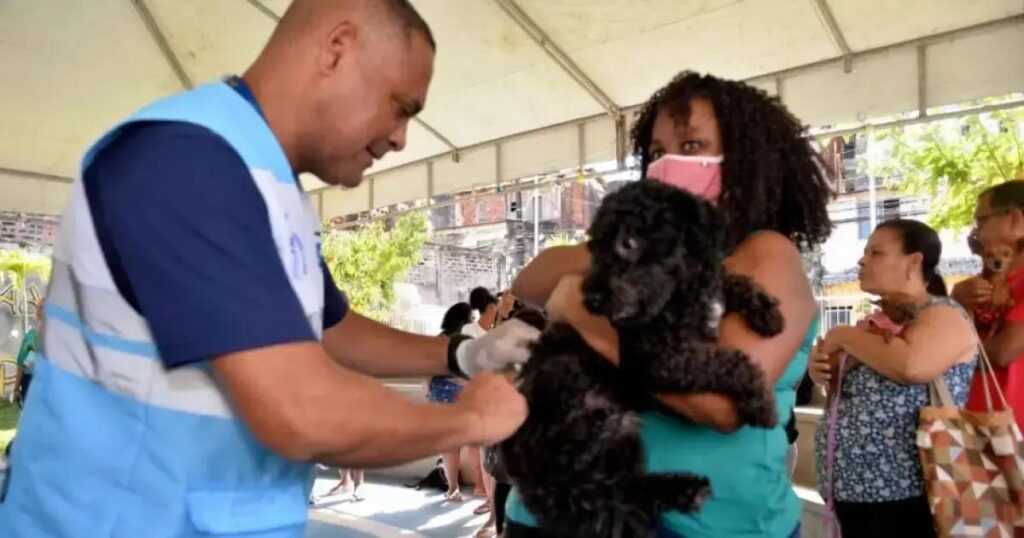 Campanha de Vacinação Antirrábica Animal 2025 em Salvador