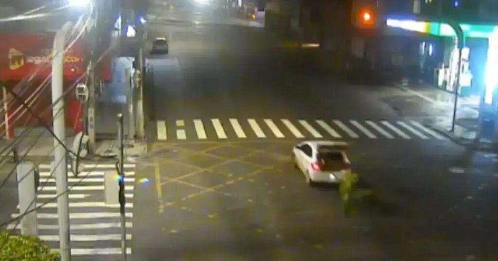 Furto de palmeiras recém-plantadas em Feira de Santana gera investigação